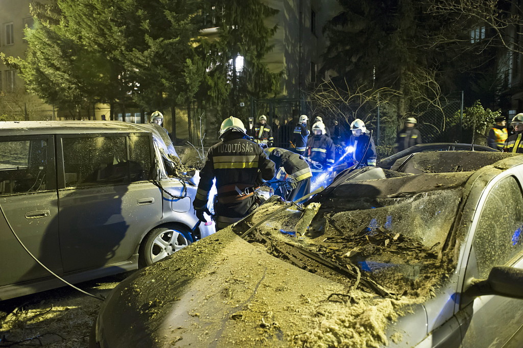 Kidõlt fa zuhant parkoló autókra a II. kerületben is/MTI Fotó: Lakatos Péter