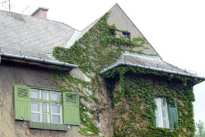 MÁV-telepi ház/Fotó: XV Média, Nagy Botond