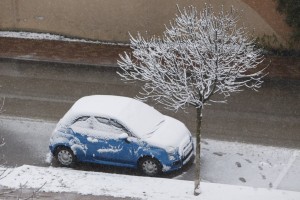 MTI Fotó: Varga György