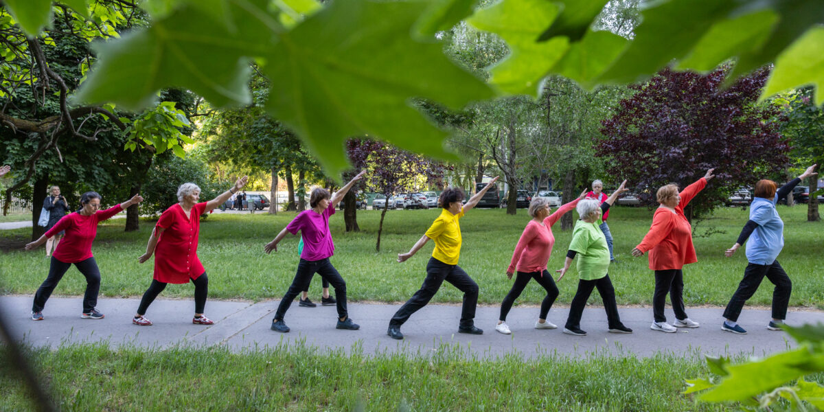 A Silver Boom produkció résztvevői egy park sétányán táncmozdulatokkal hívják fel a figyelmet a 65 év feletti nők társadalmi láthatatlanságára. A képen nyolc nő látható színes pólókban (kék, piros, zöld, sárga, rózsaszín) és fekete nadrágban. Felemelt karjaikkal egymás mögött egy enyhén ferde, függőleges vonalat formáznak. Körülöttük a park zöldje és a fák lombjai keretezik a jelenetet.